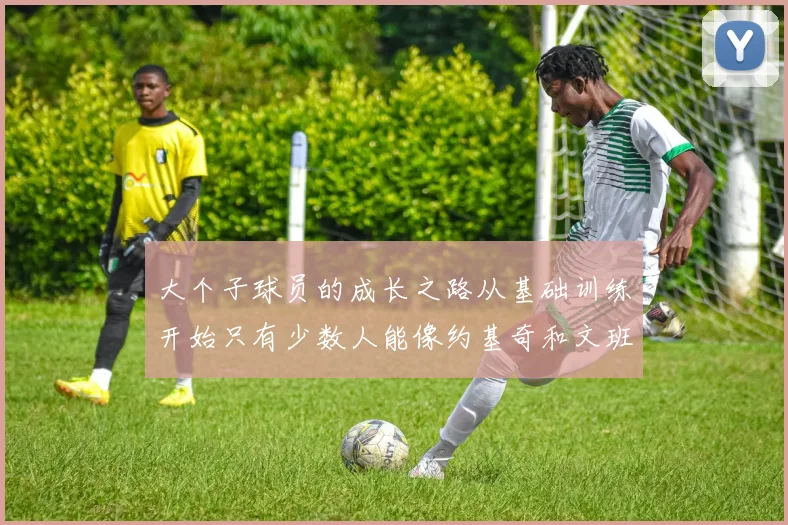 大个子球员的成长之路从基础训练开始只有少数人能像约基奇和文班那样成功
