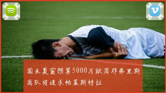 国米夏窗预算5000万欧若邓弗里斯离队将追求帕莱斯特拉
